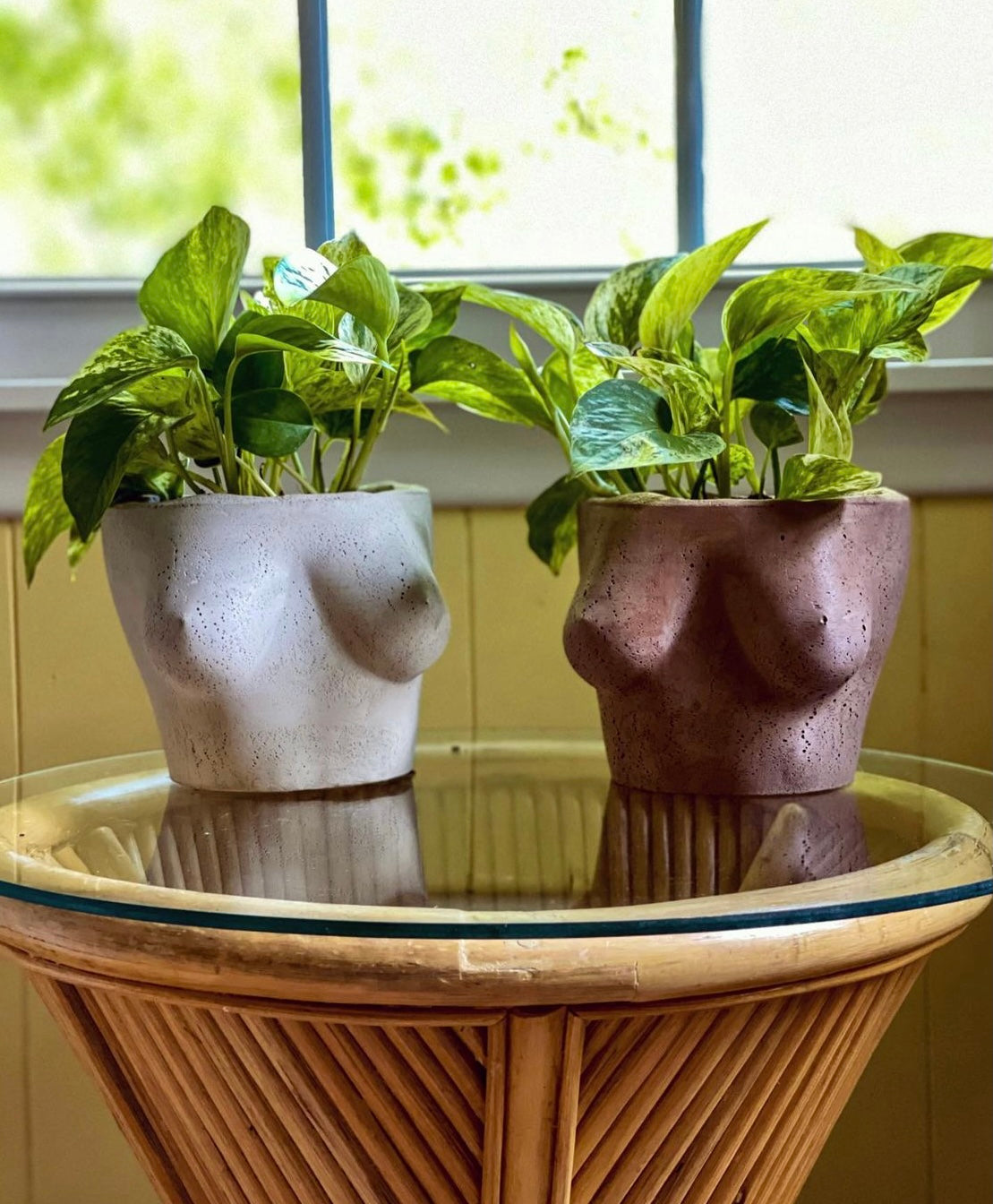 Two of Queen City ‘Crete’s “Milady” Bust planters sit on a table with pathos growing from them. 