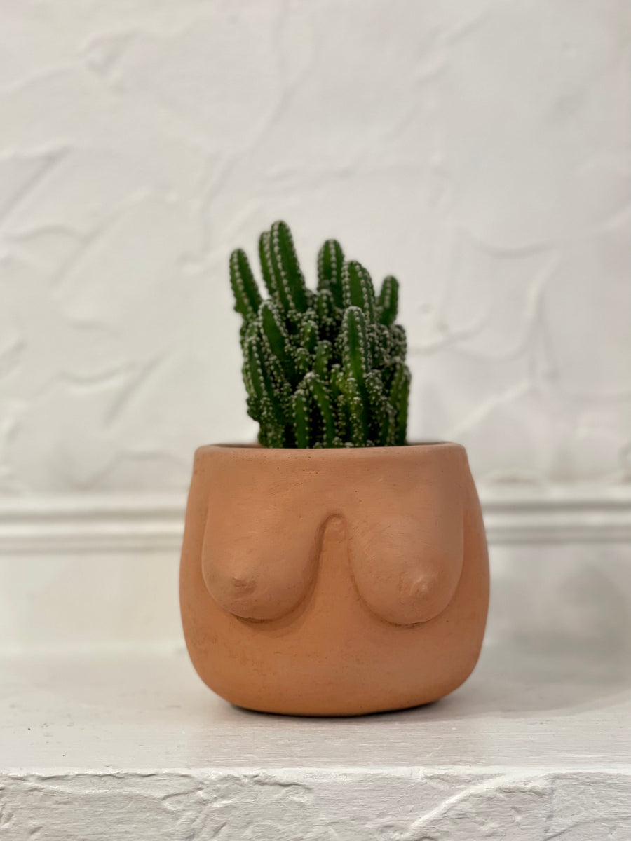 boob pot plant edna booby planter – Queen City 'Crete