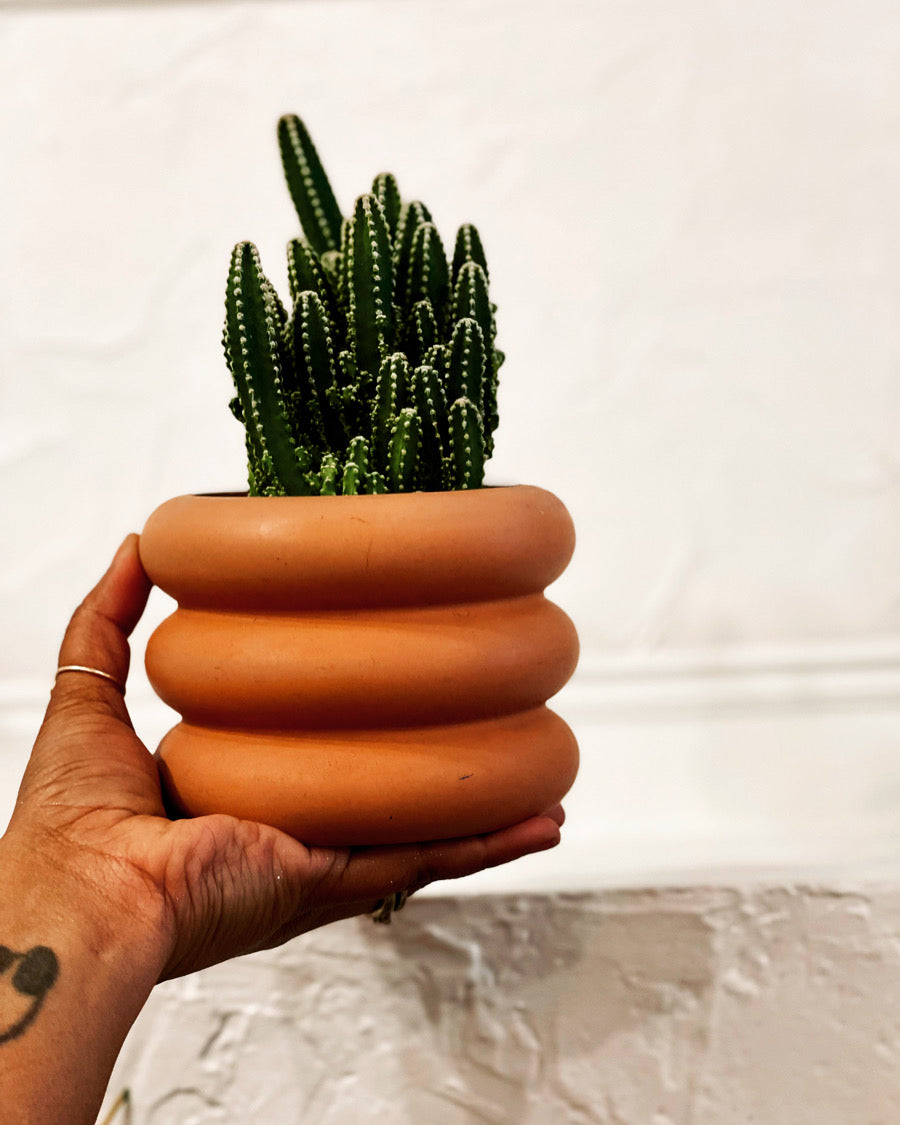 bubble planter pot Bubble planter – Queen City 'Crete