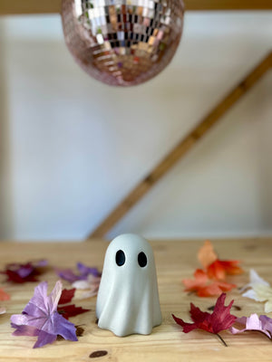 Shivers and Boo-boo Ghost