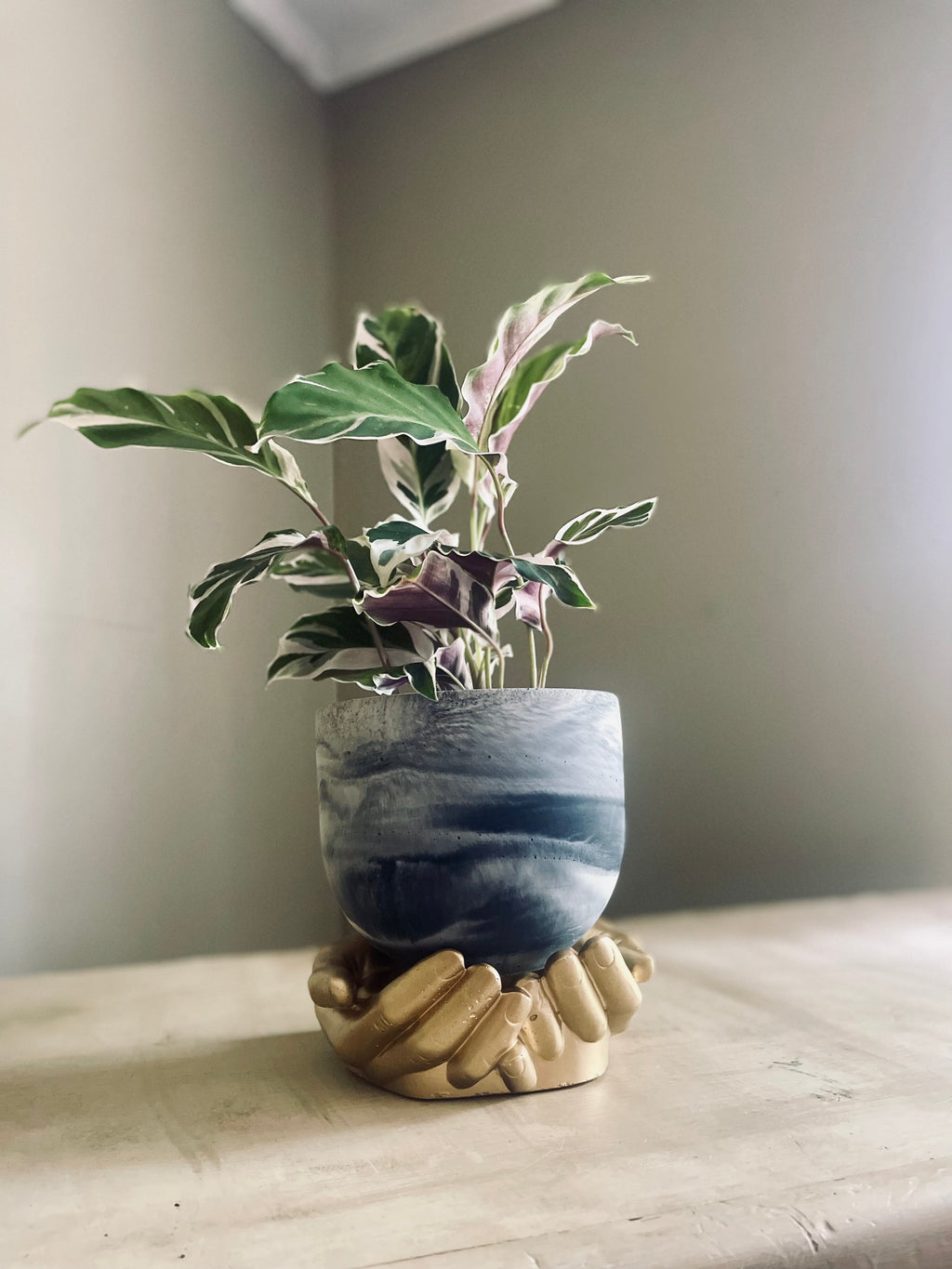 Hand bowl + Mila Planter