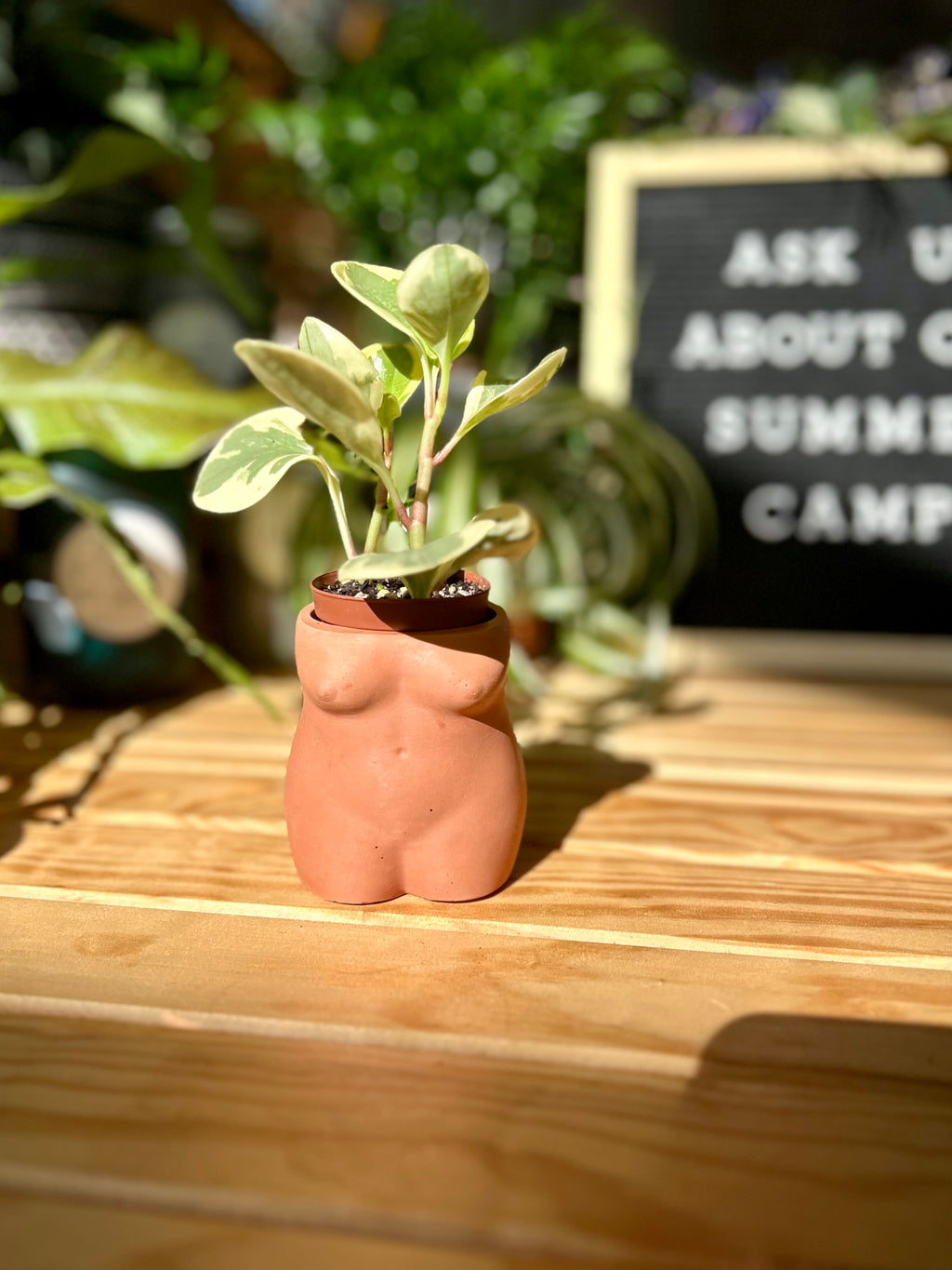 Plum lady body vase or planter