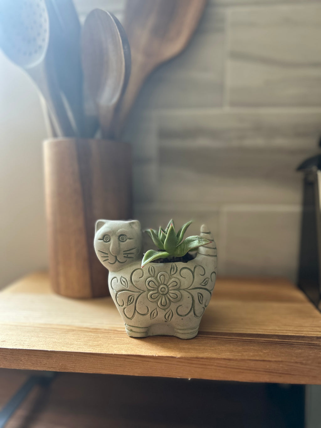 Cat planter