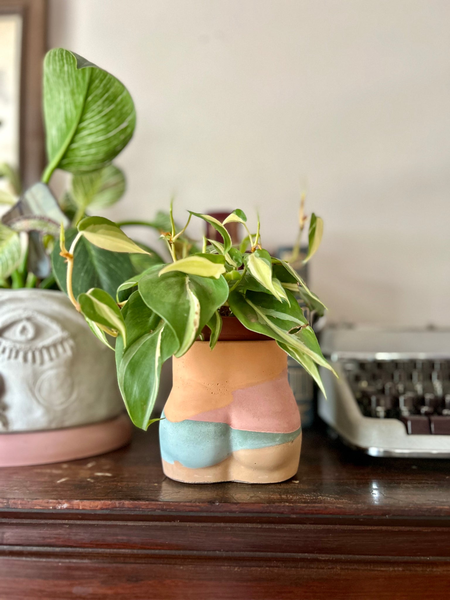 booty succulent planter Bubble Booty Planter – Queen City 'Crete