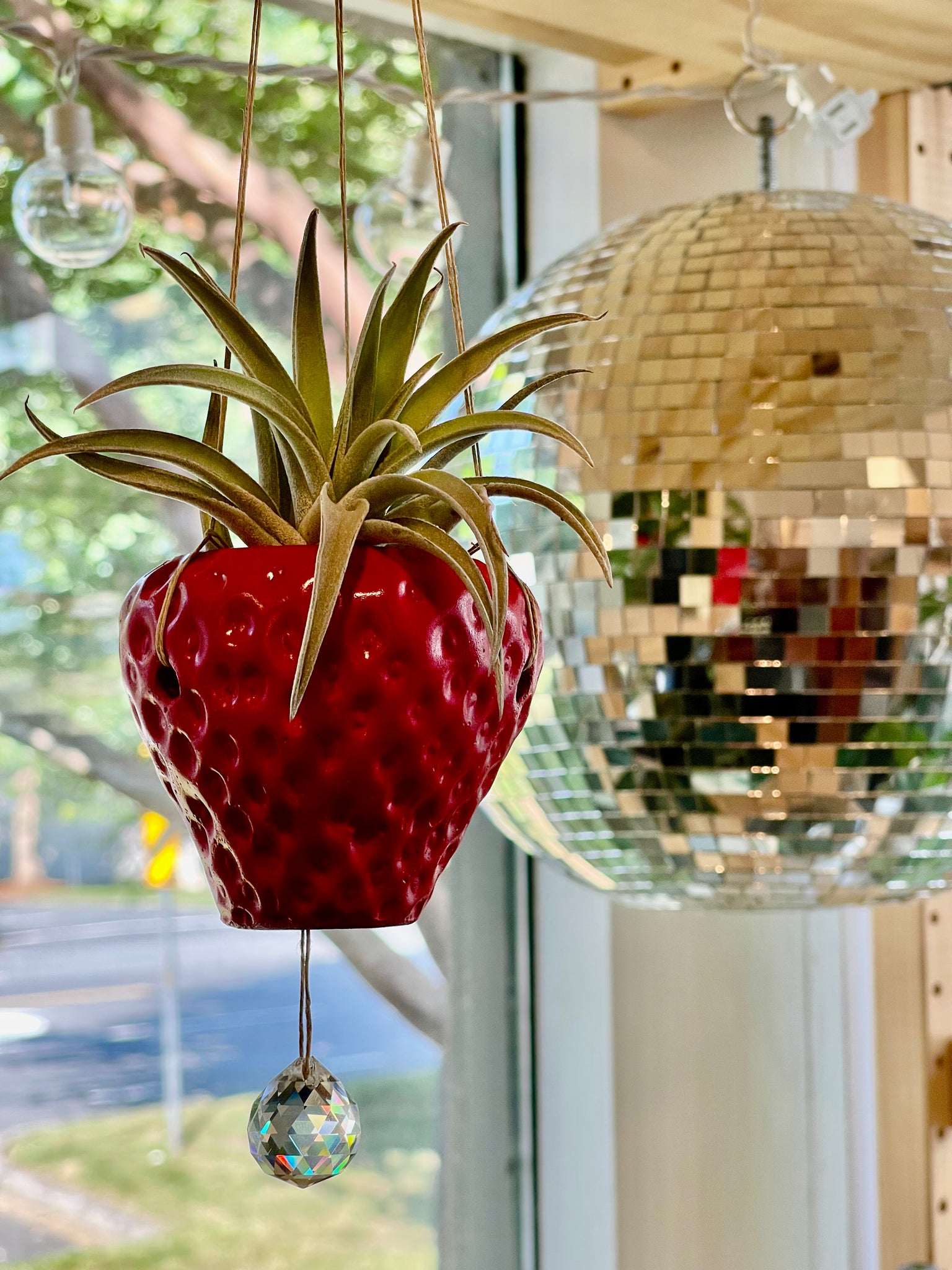 hanging strawberry planter kit Hanging strawberry planter with sun catcher – Queen City 'Crete