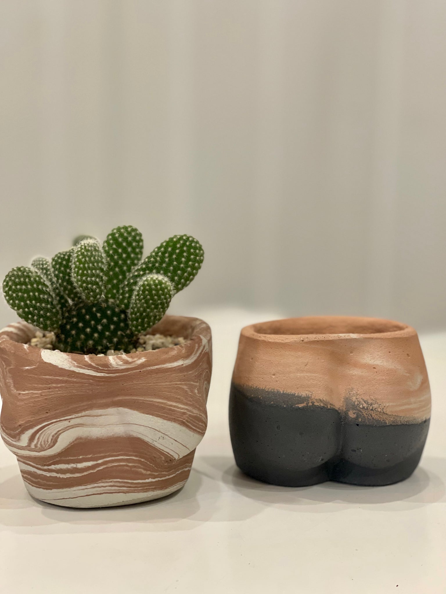 butt succulents Mini butt + boob + cactus – Queen City 'Crete