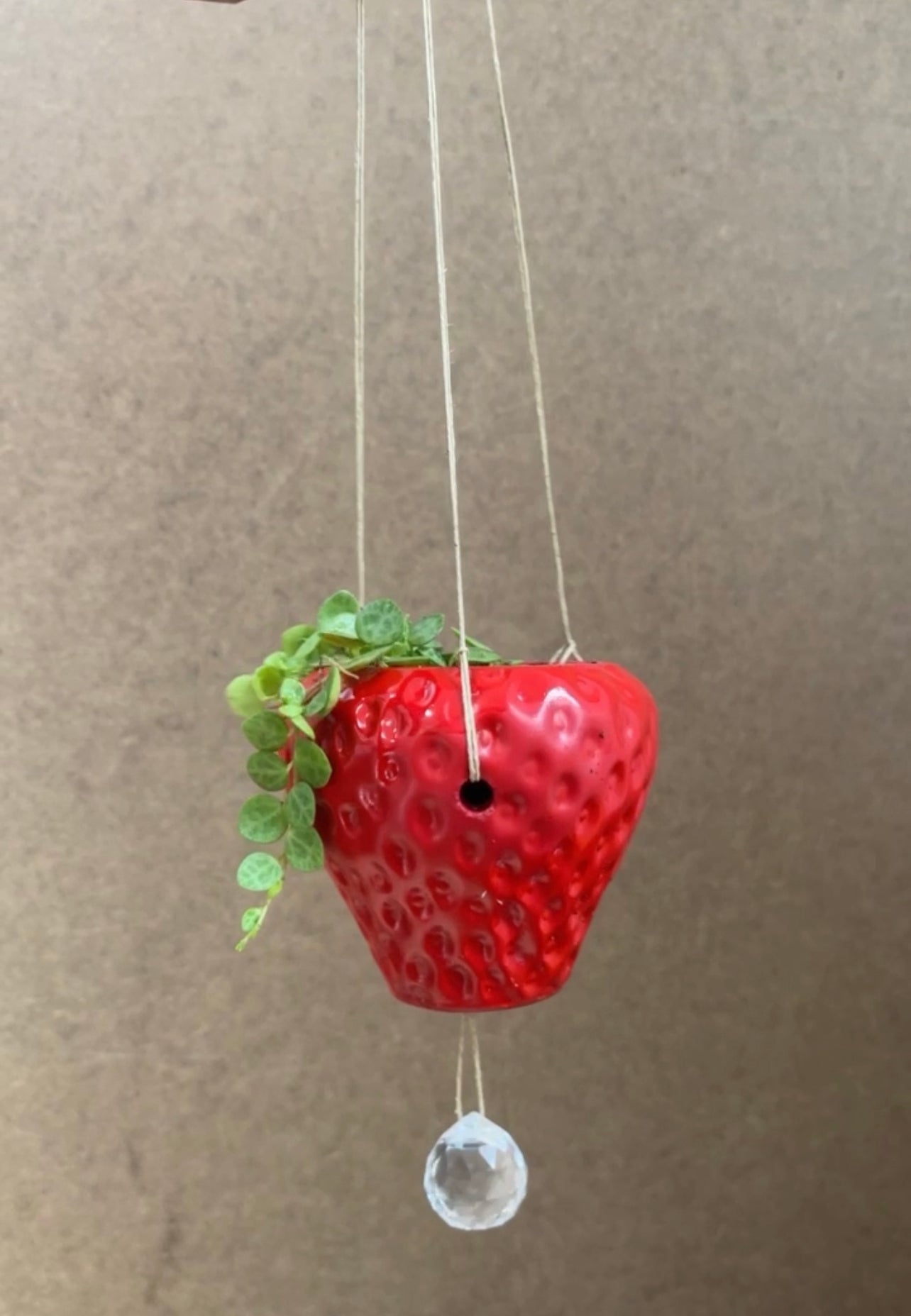Hanging strawberry planter with sun catcher