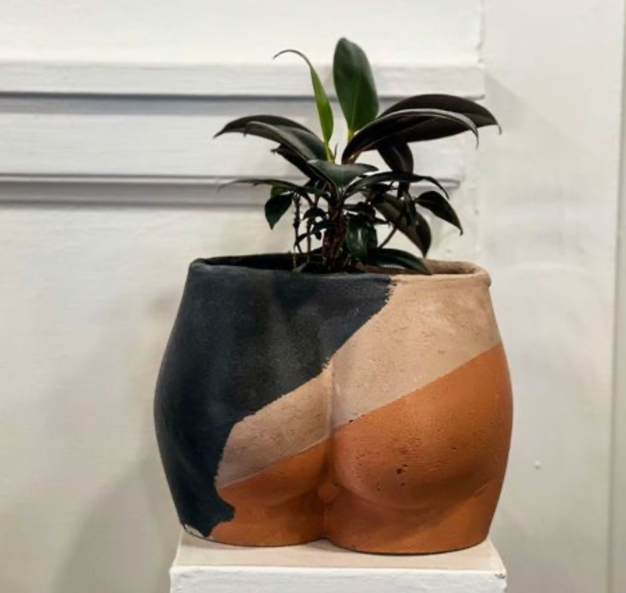 A large, custom booty concrete planter, created by Queen City Crete, with a plant growing from inside of it.