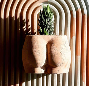 A small version of Queen City ‘Crete’s handmade concrete Booty Planters lies flat with a plant growing from it. 