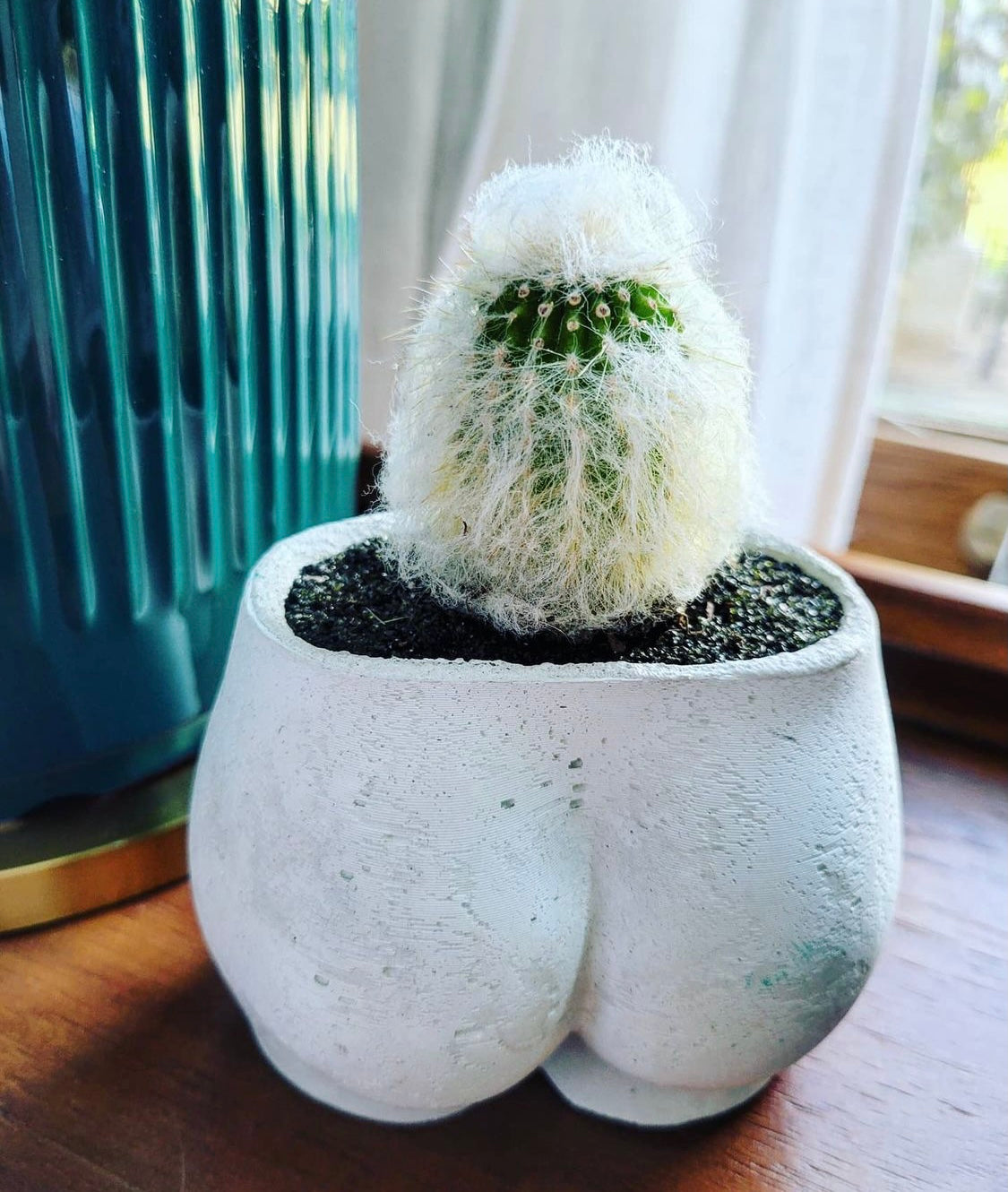 Queen City ‘Crete’s Small Booty Planter sits near a window with a cactus growing from inside. 