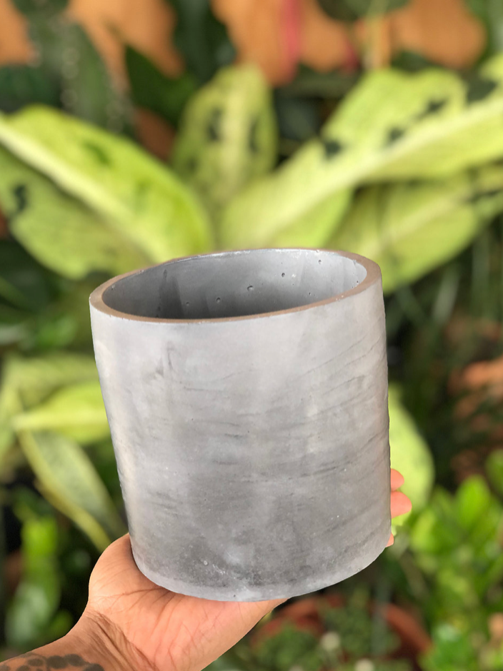 A concrete Charlie planter, in the color option of “classic concrete gray,” sits on an outstretched palm. It was created by Queen City ‘Crete. 
