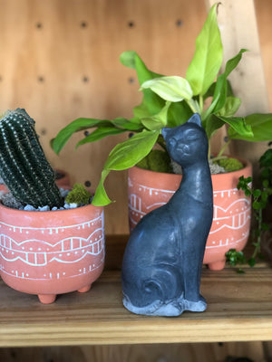 A concrete cat sculpture, created by Queen City Crete, sits on a shelf with planters and plants.
