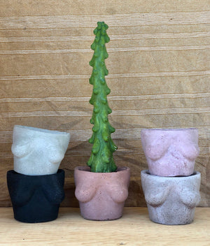 A group of Small Milady Planters, created by Queen City ‘Crete. 