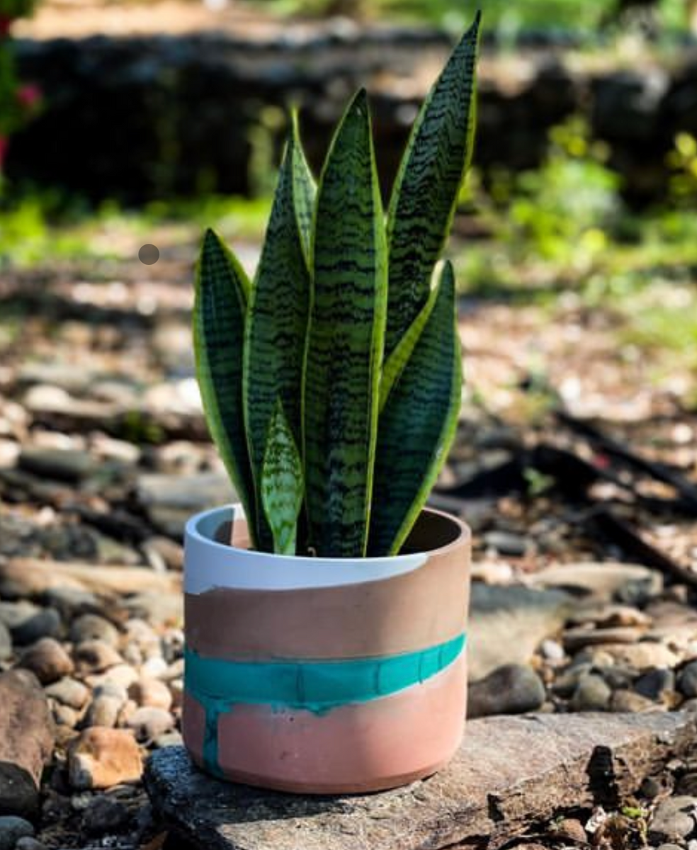 Hamilton Planter – Queen City 'Crete