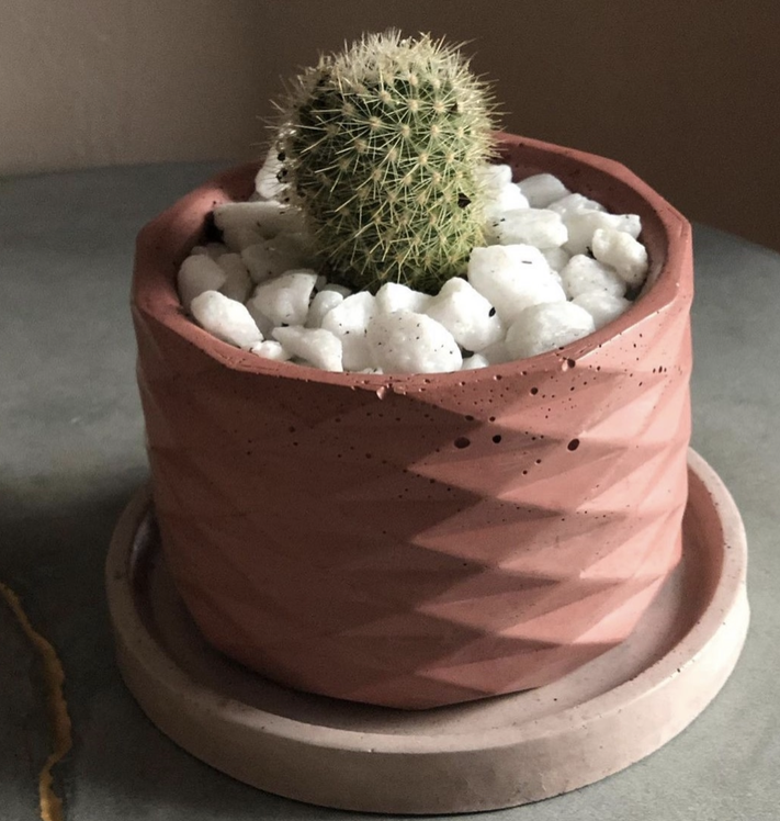 The Joan Concrete Planter, handmade by Queen City ‘Crete, sits on a 5” concrete tray, and holds a cactus. 