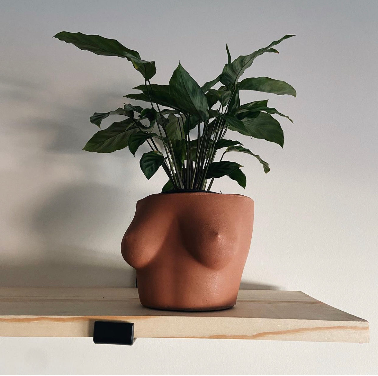 body plant pot Large Milady Planter – Queen City 'Crete