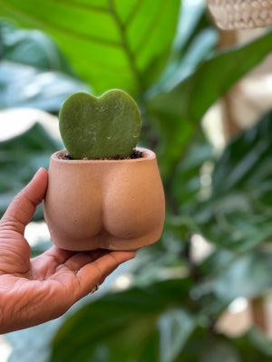 Mini Booty Planter